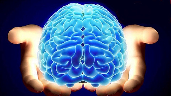 Fortalece Tu Cerebro Con Productos Naturales